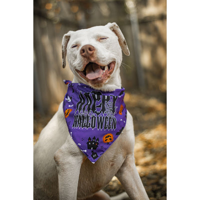 Ready to Ship | Halloween Dog Triangle Collar/Scarf*